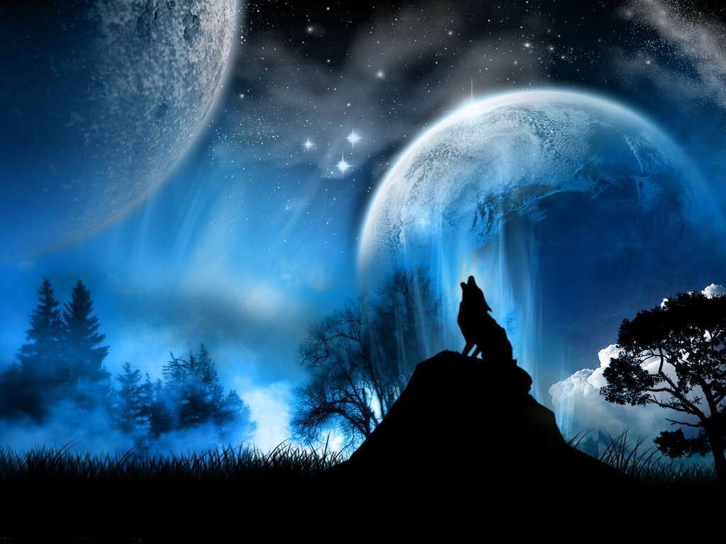 Wolf Moon Wallpaper HD In Animals