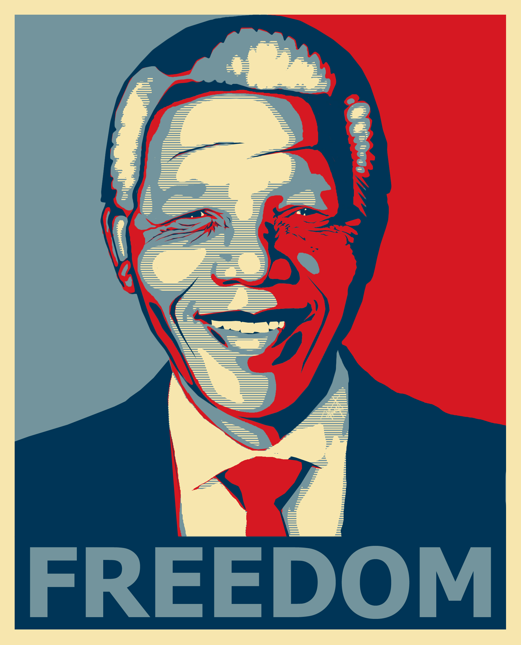 Nelson Mandela HD Poster Background Wallpaper