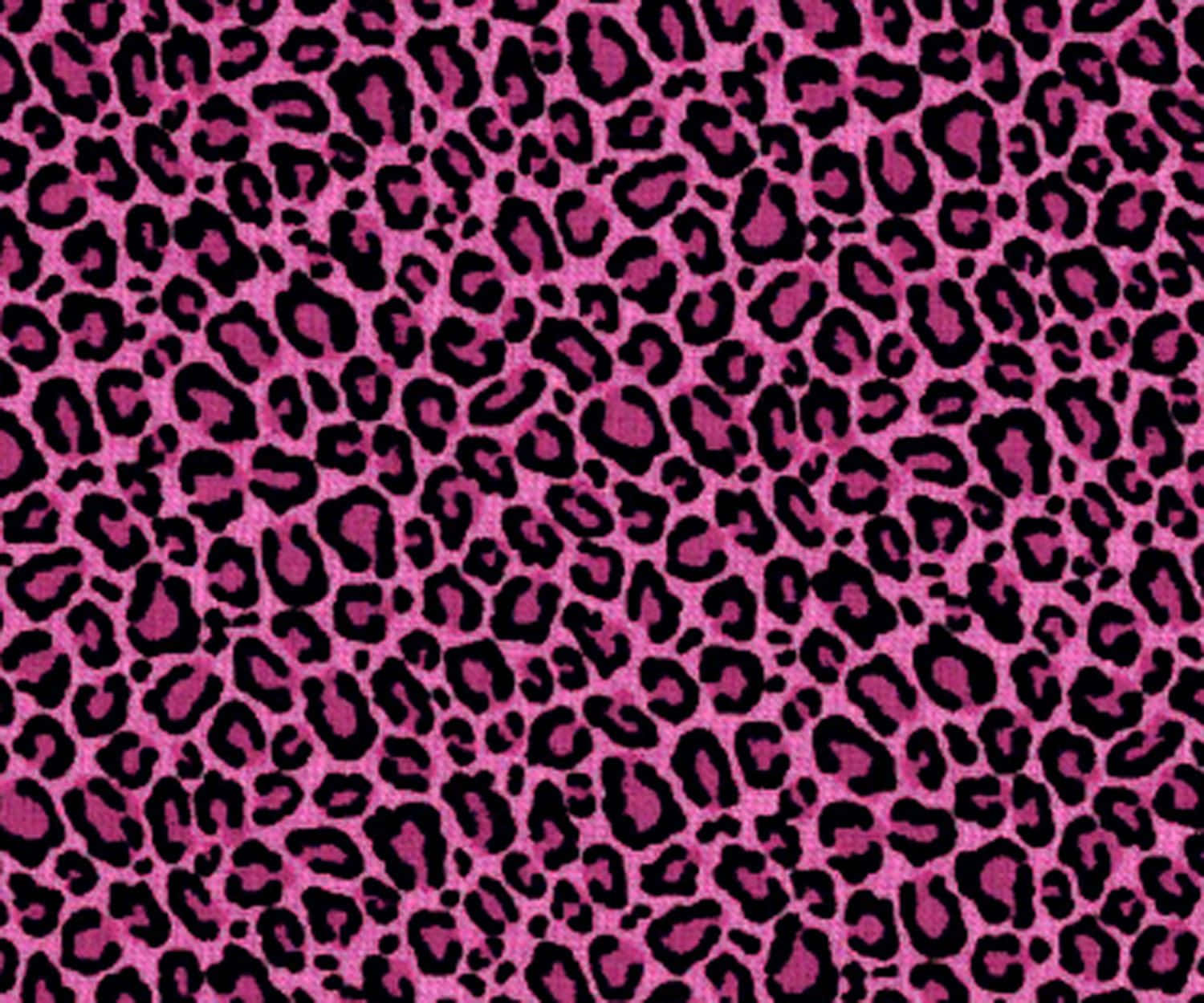 A vibrant pink leopard print background with black spots, perfect for adding a touch of glamour and wild style