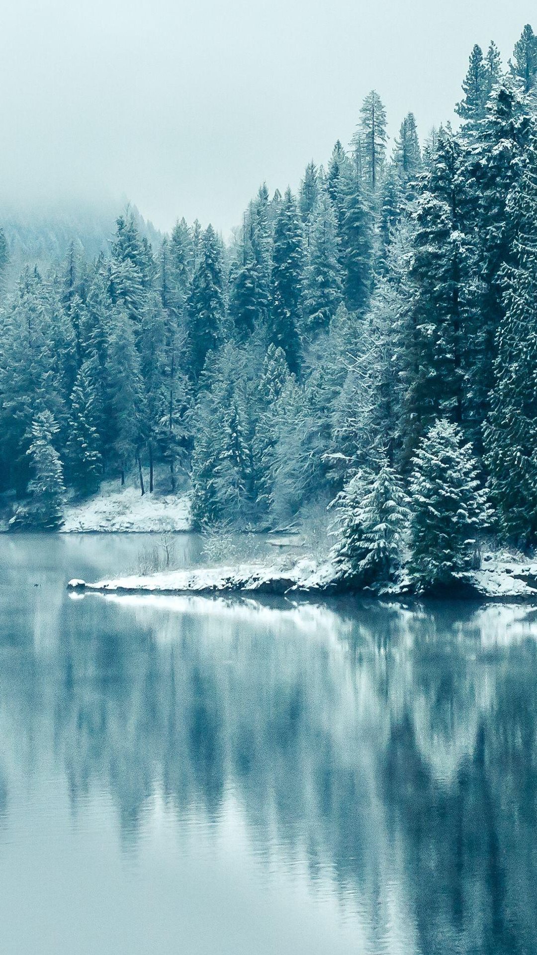 Pine Forest Lake Snow iPhone Plus HD Wallpaper Ipod