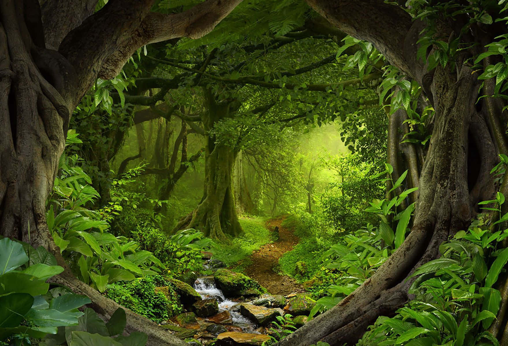 Fairy Forest Background Wallpaper