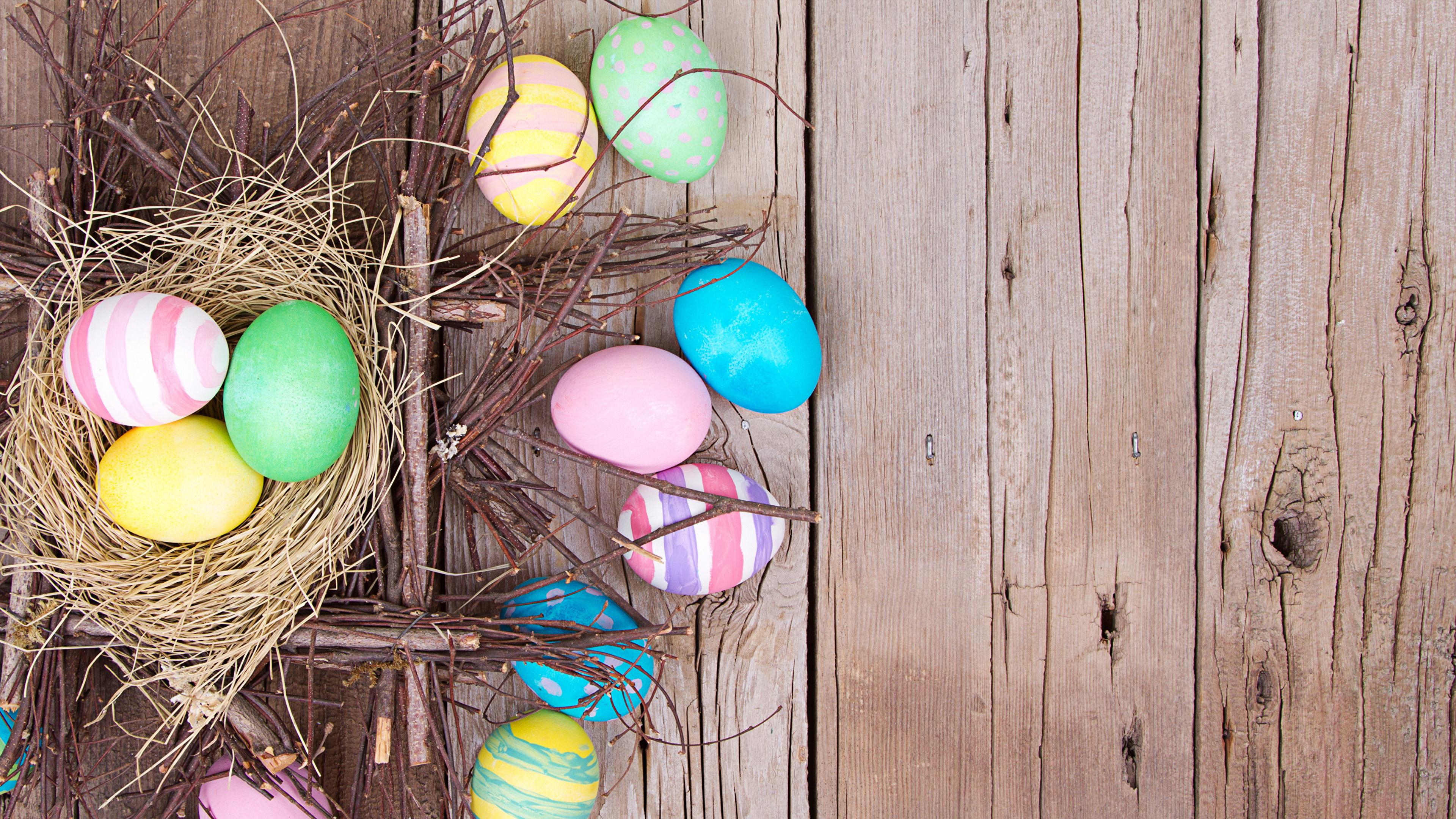Photos Easter Egg Nest Holidays Wood Planks