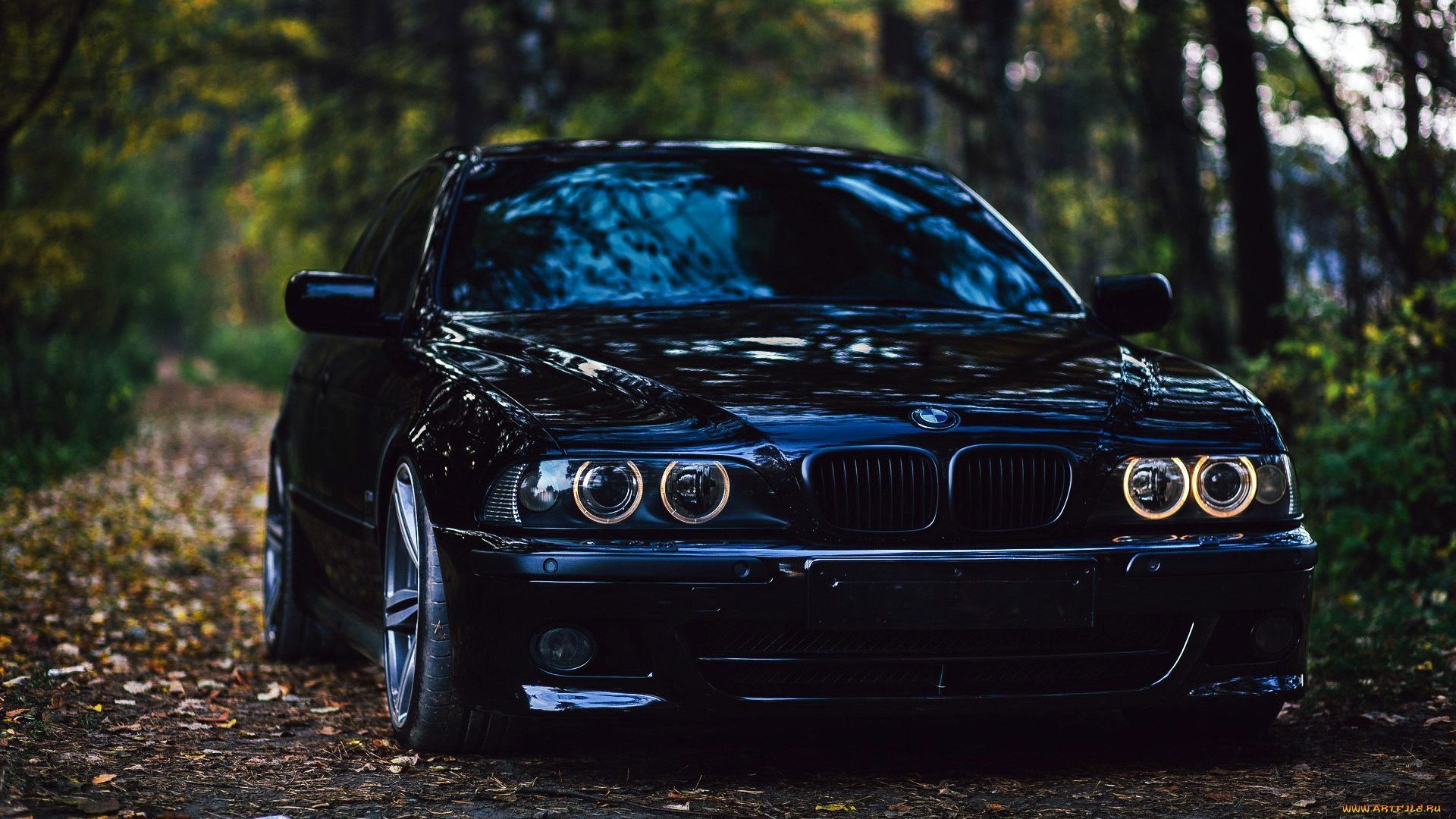 Sleek Black BMW M5 Parked on a Forest Path
