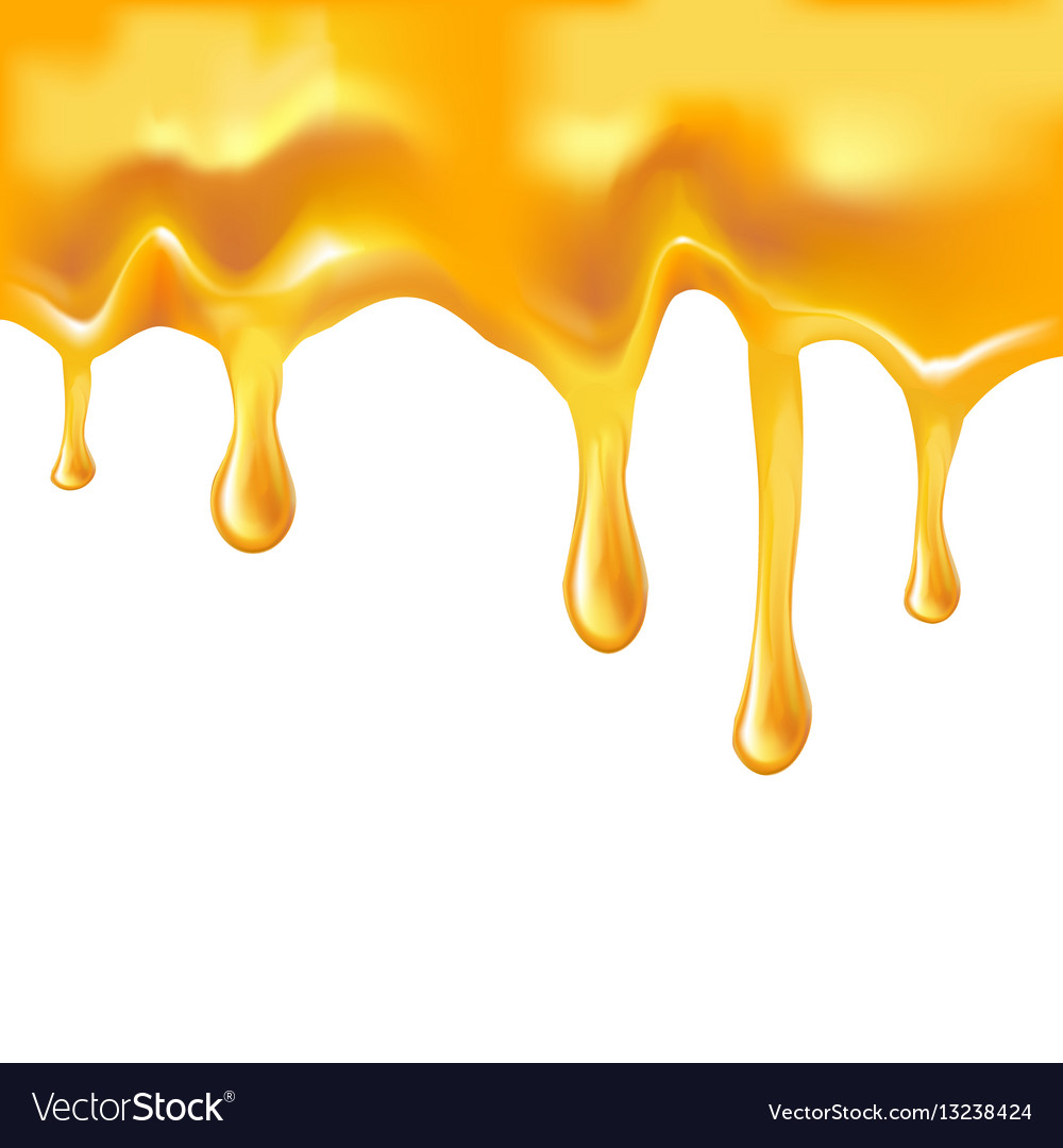 Free download Honey melted background Royalty Free Vector Image
