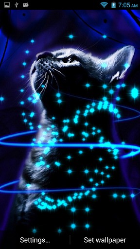 Glitter Neon Cat L Wallpaper App For Android