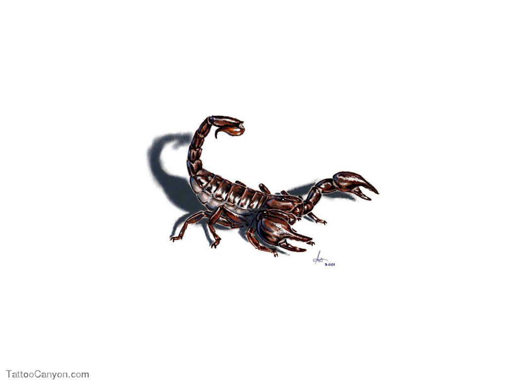3D Scorpion Tattoo On Girl Foot