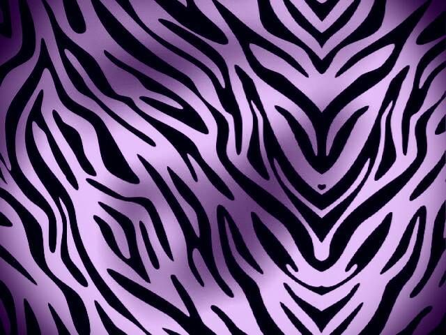 Purple Zebra Print Random Wallpaper