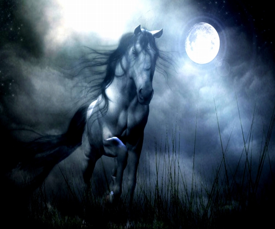 Night Horse Android Wallpaper