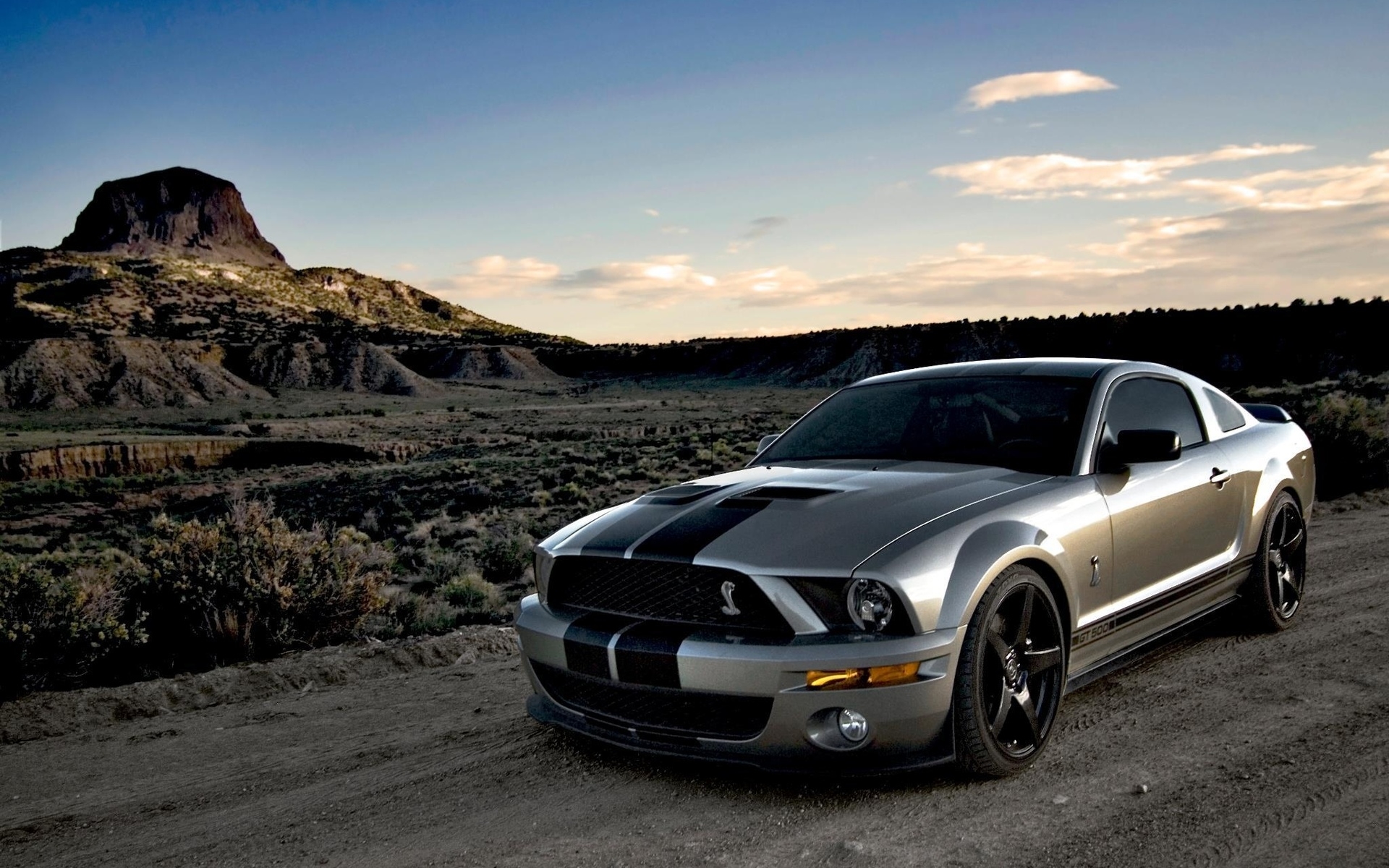 Shelby Gt500 Mustang Desktop Background Screensaver Apps