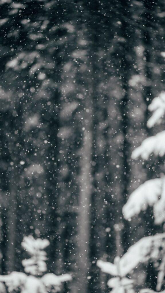 Gorgeous Winter Wallpaper For iPhone