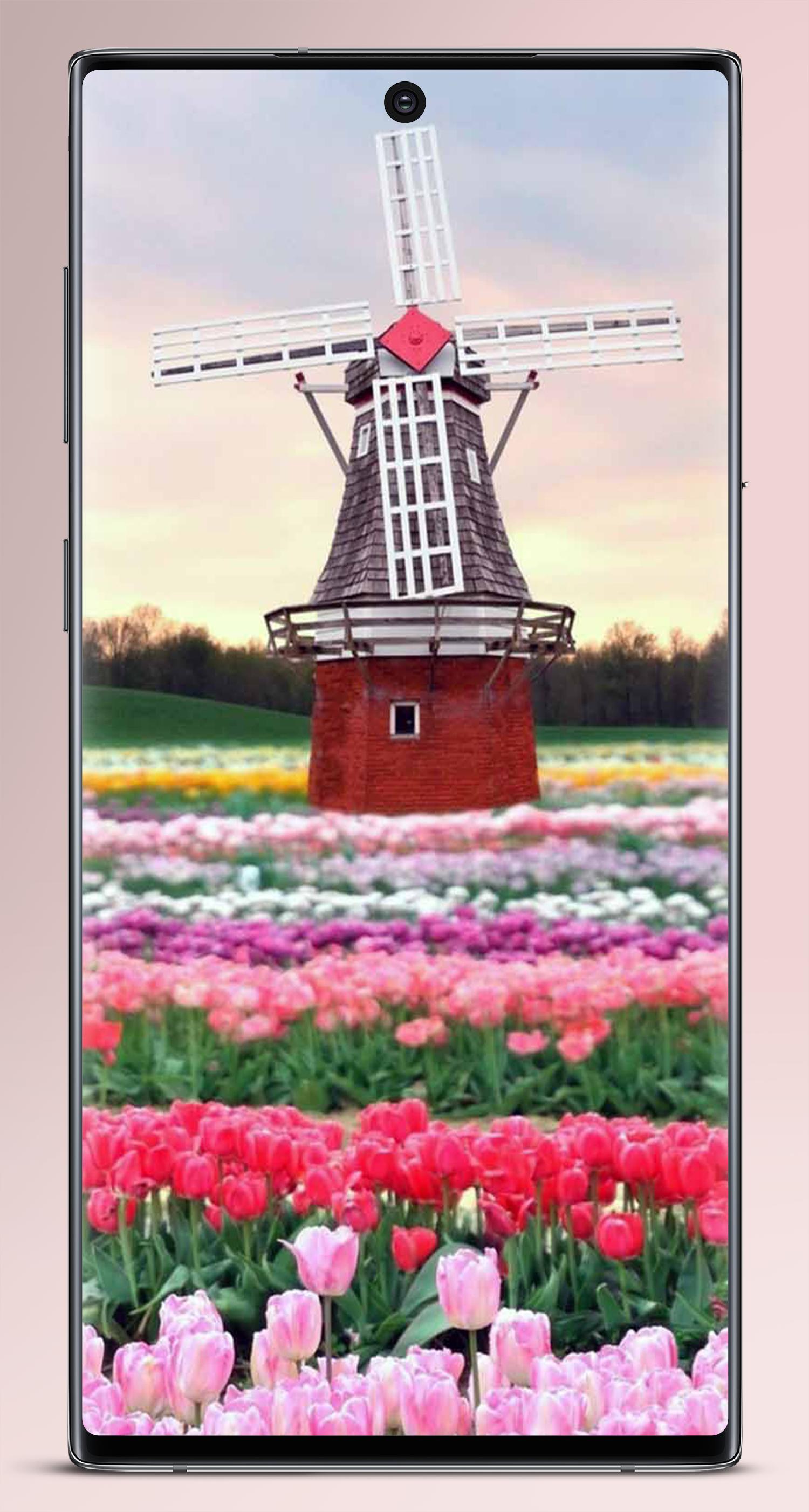 Wallpaper Bunga Cantik Offline For Android Apk
