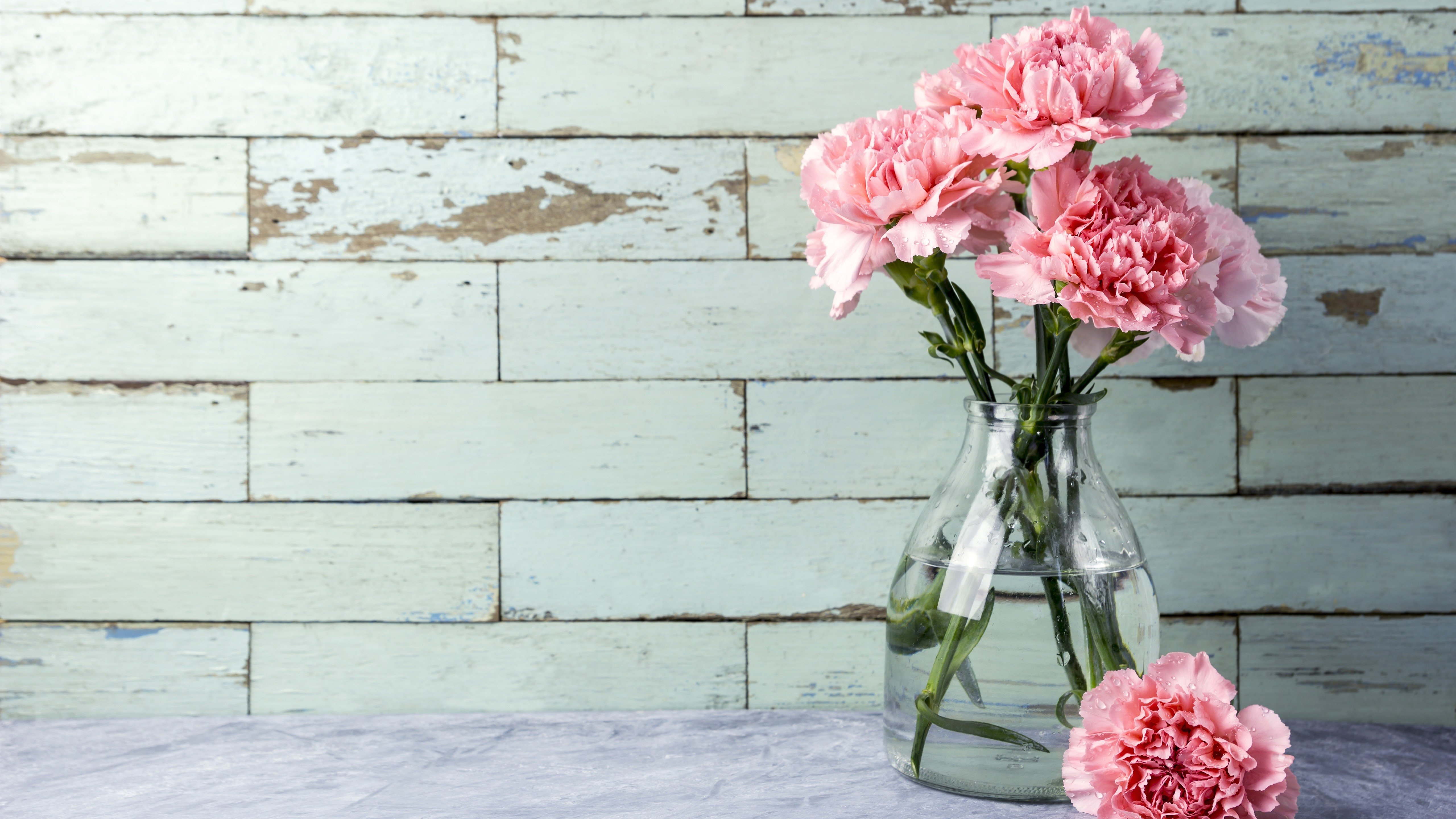 Flower Vase Best HD Wallpaper