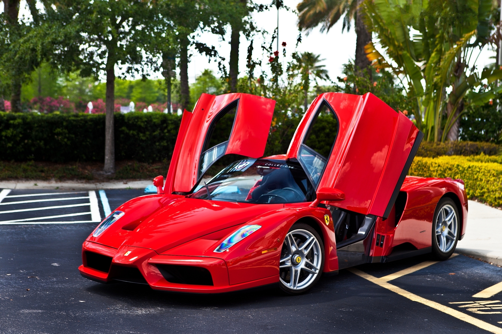 Ferrari Enzo HD Wallpaper Background Image