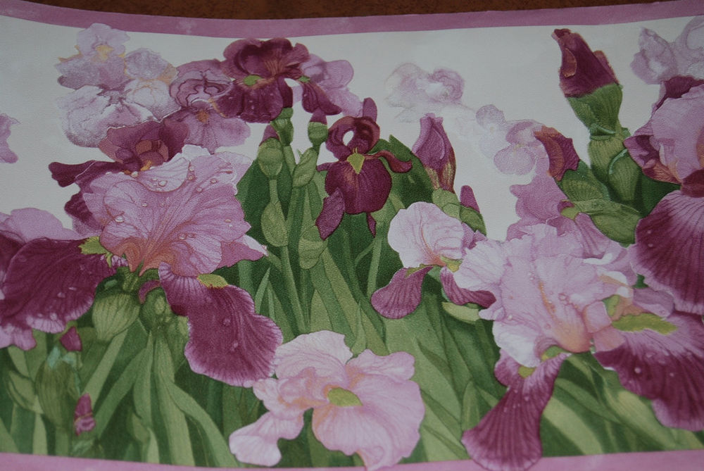 Purple Iris Wallpaper Border W1241