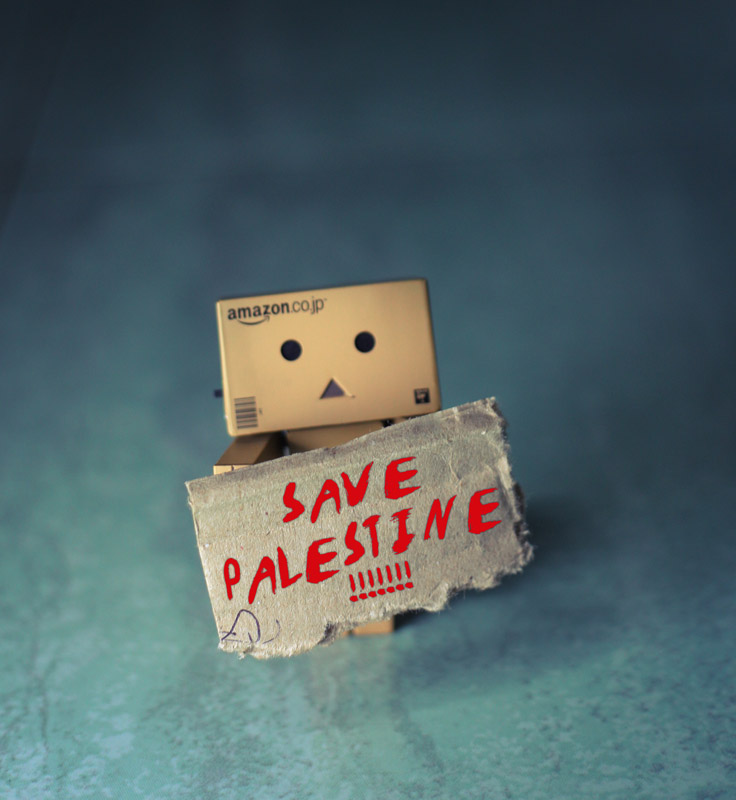 Save Palestine By Danbo Hendymanoid