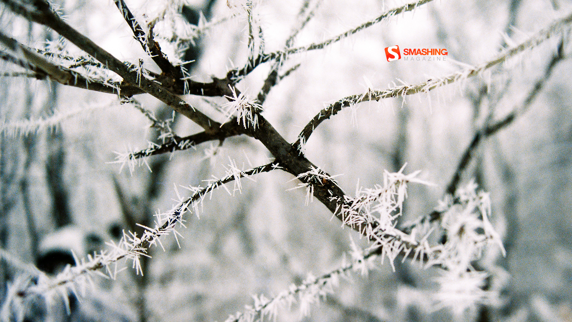 Calendar Wallpaper January Desktop Pictures