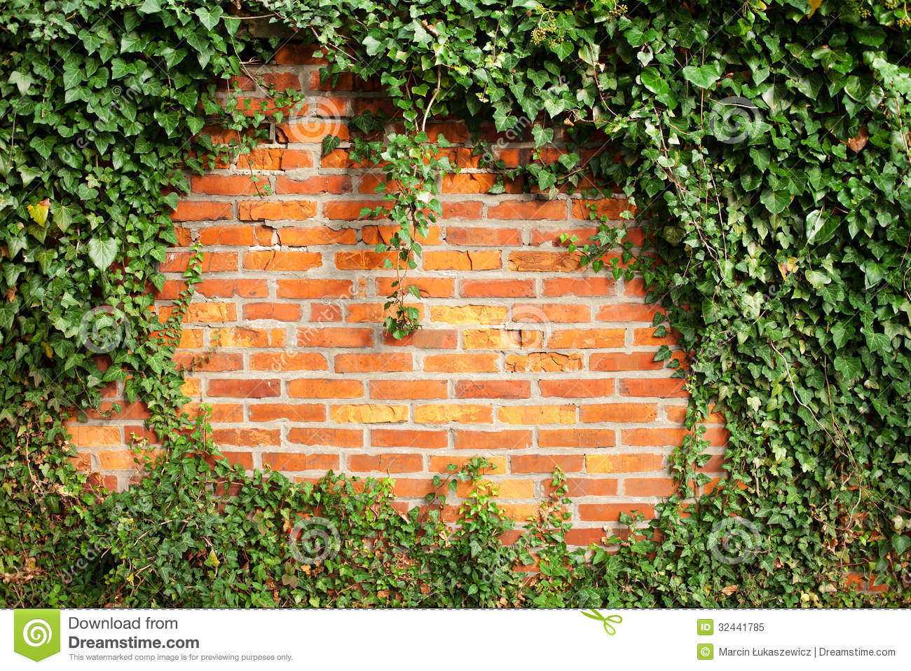 Ivy Wall Wallpaper Brick Covered By