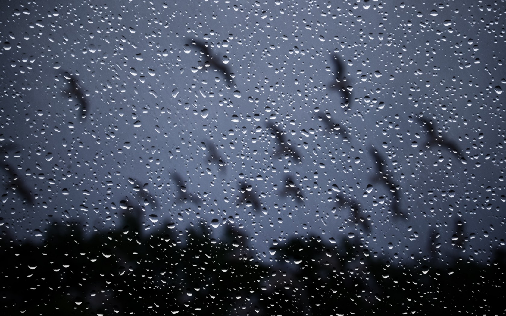 Drops Rain Storm Glass Window Nature Wallpaper
