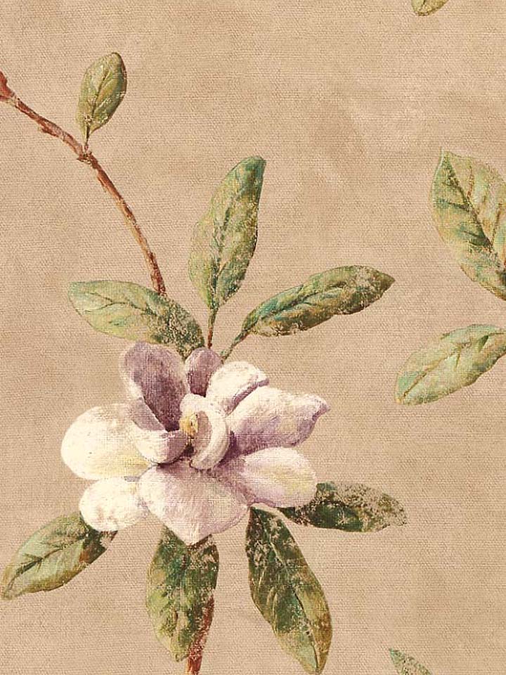 Free download Magnolia Wallpaper Border CLEARANCE QUANTITIES LIMITED