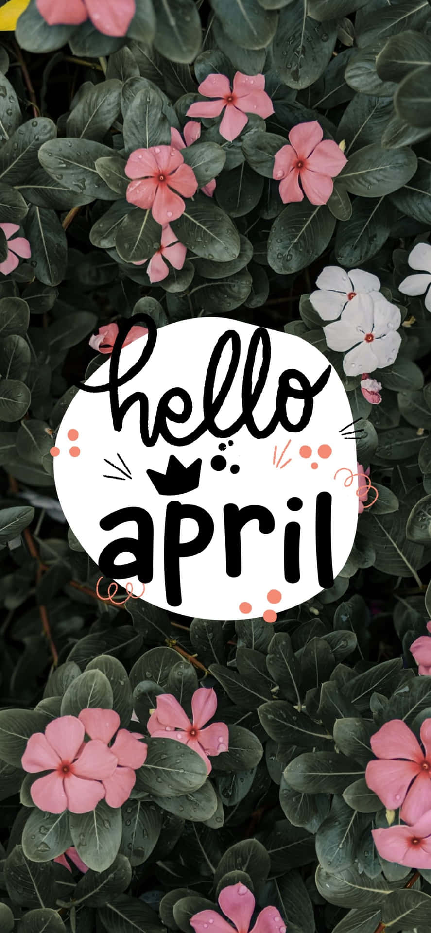 Cute April Wallpaper