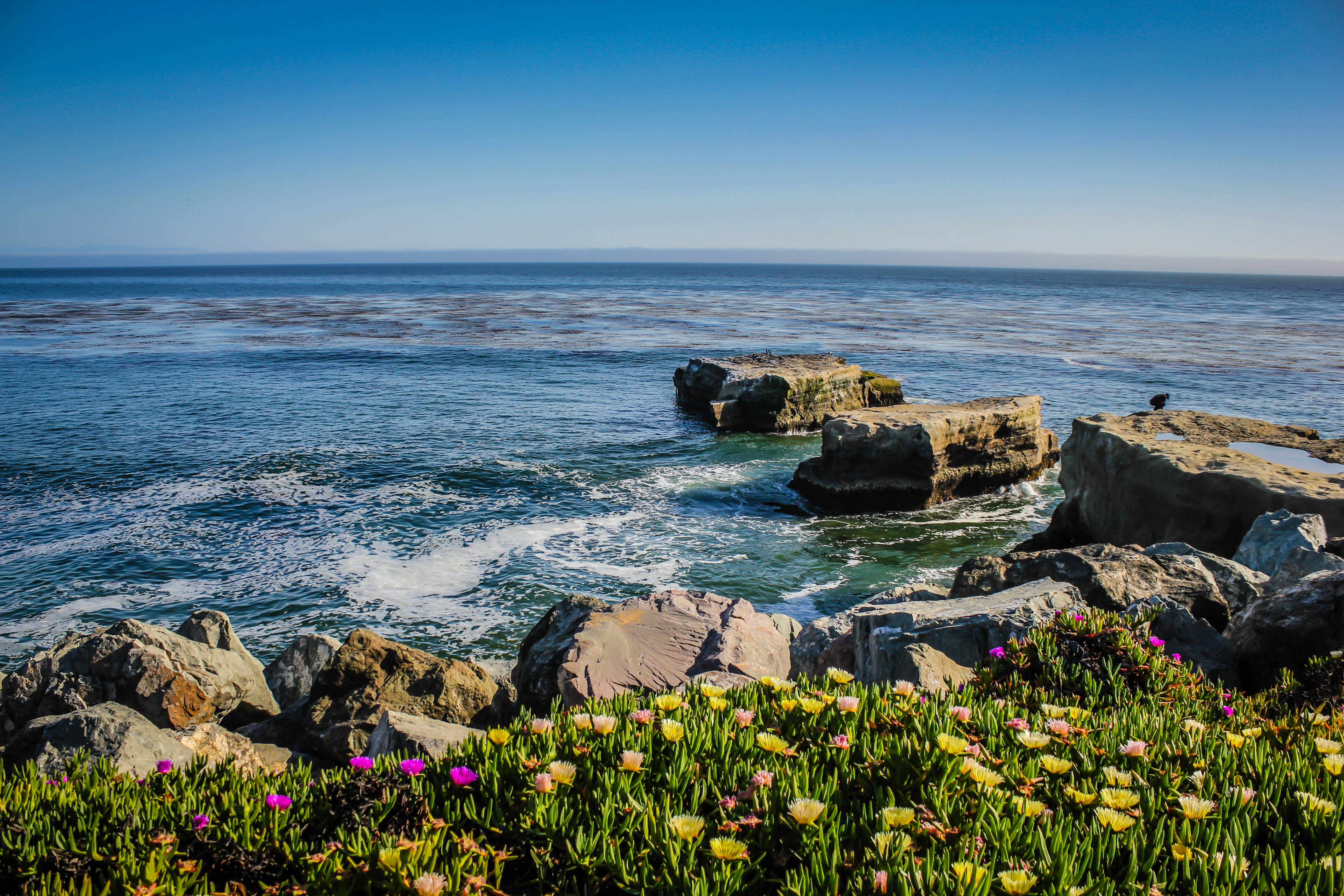 Hd Wallpaper The Ocean From Santa Cruz Ca Click Here