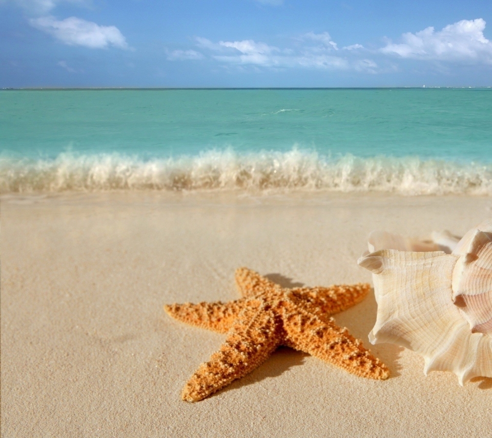 Beach Starfish Sand Heart
