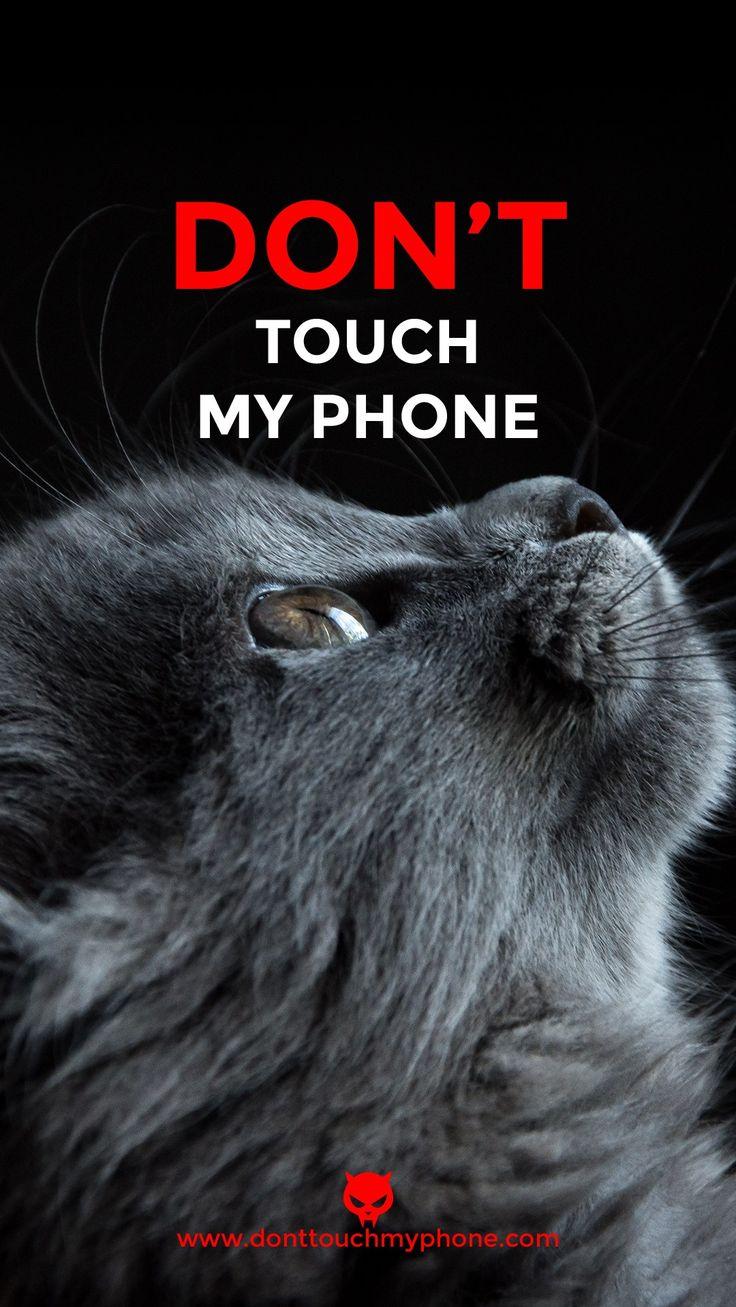 Don T Touch My Phone Cute Cat Wallpaper Dont