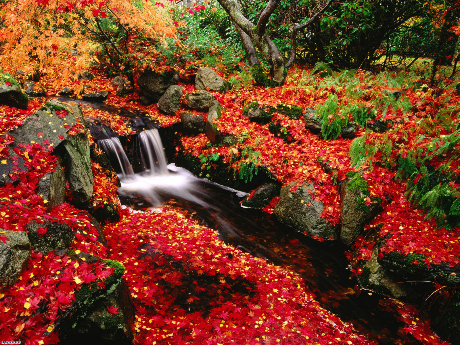 Fall Computer Wallpaper Desktop In HD