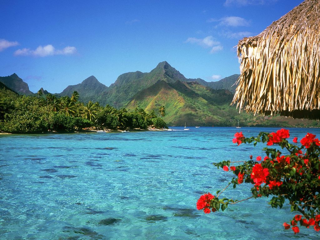 Top World Pic Bora Island French Polynesia