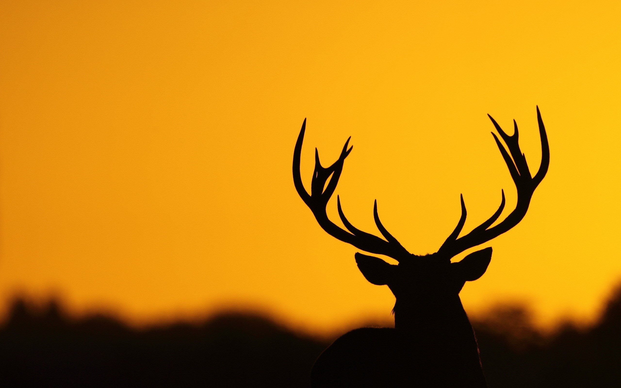 30 Fantastic HD Silhouette Wallpapers   HDWallSourcecom