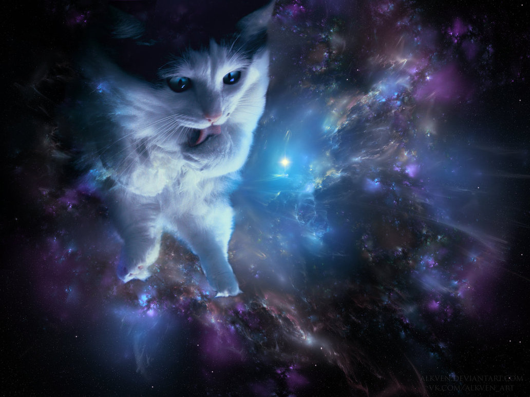 Searching Image Titled Space Cats Actually Produces Some Interesting
