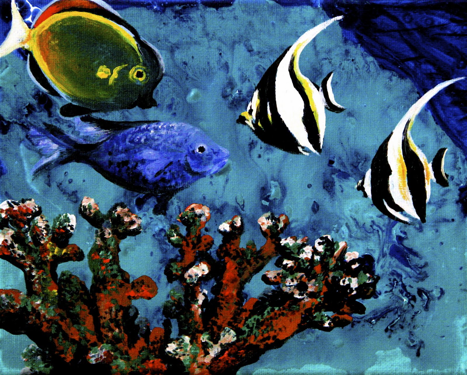 Coral Reef Fish Wallpaper Colorful HD