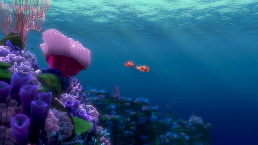 Finding Nemo Image Wallpaper Photos