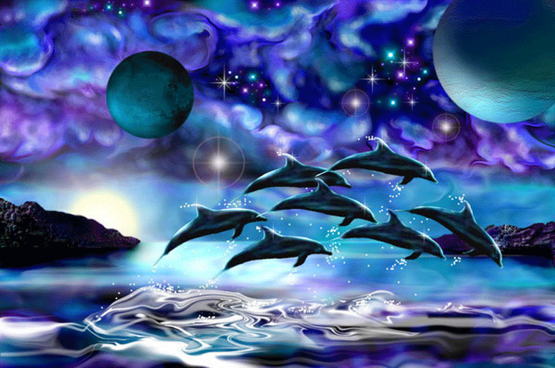 Dolce Vita The Amazing Dolphin
