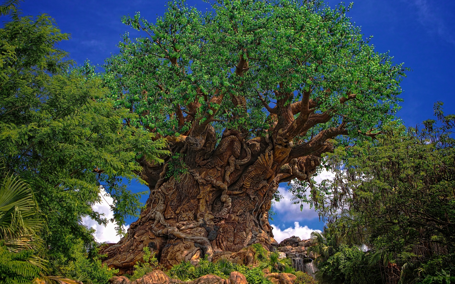 Disney Tree of Life Wallpaper - WallpaperSafari