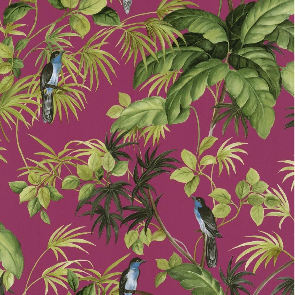 International Tropical Exotic Birds Trees Leaves Wallpaper