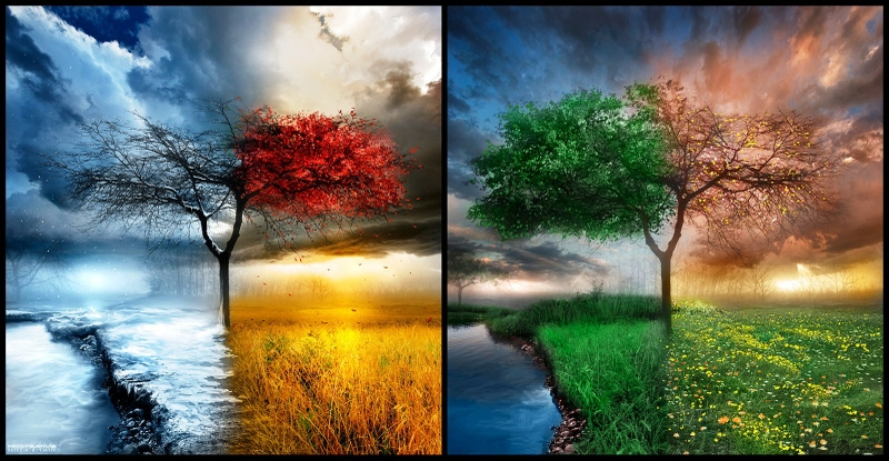 Seasons Wallpaper Pictures One HD Background