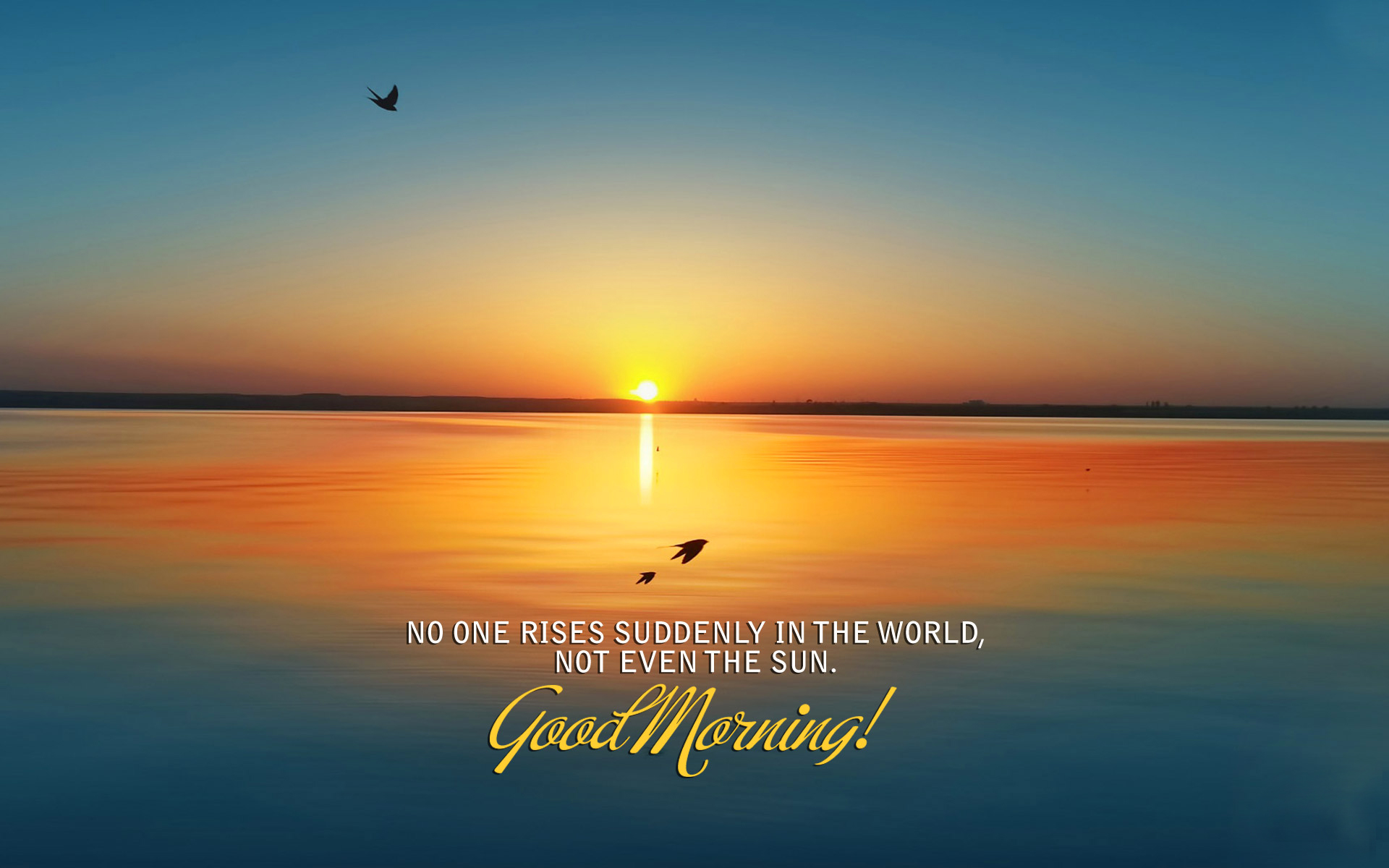 Good Morning Beautiful Quote Wallpaper