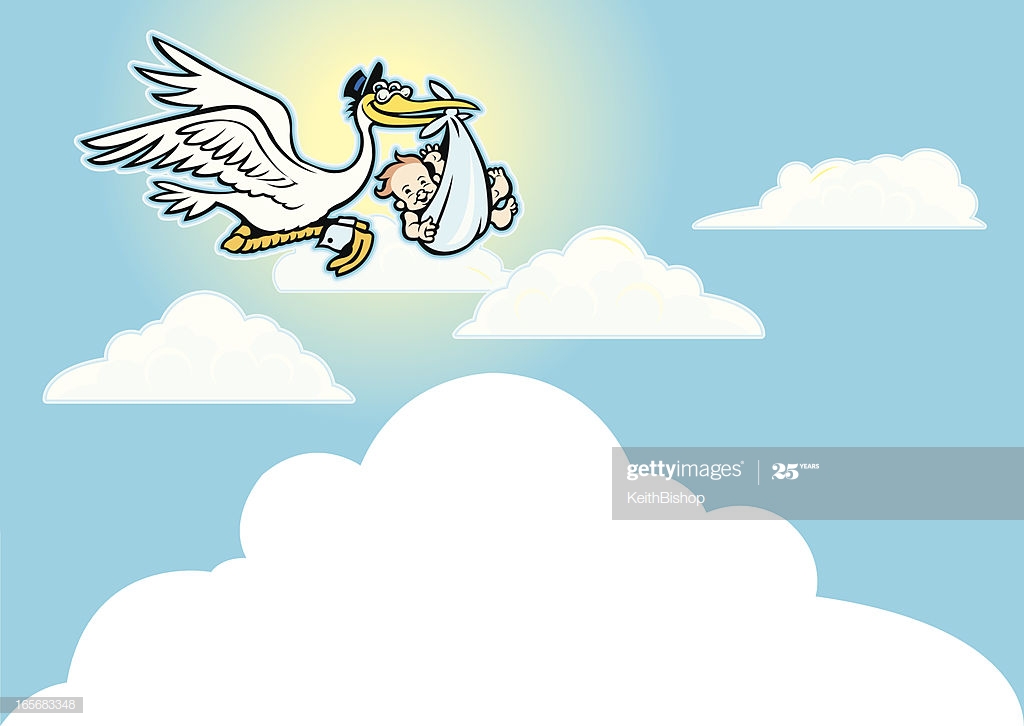 Stork Delivering A Baby Boy Background High Res Vector Graphic