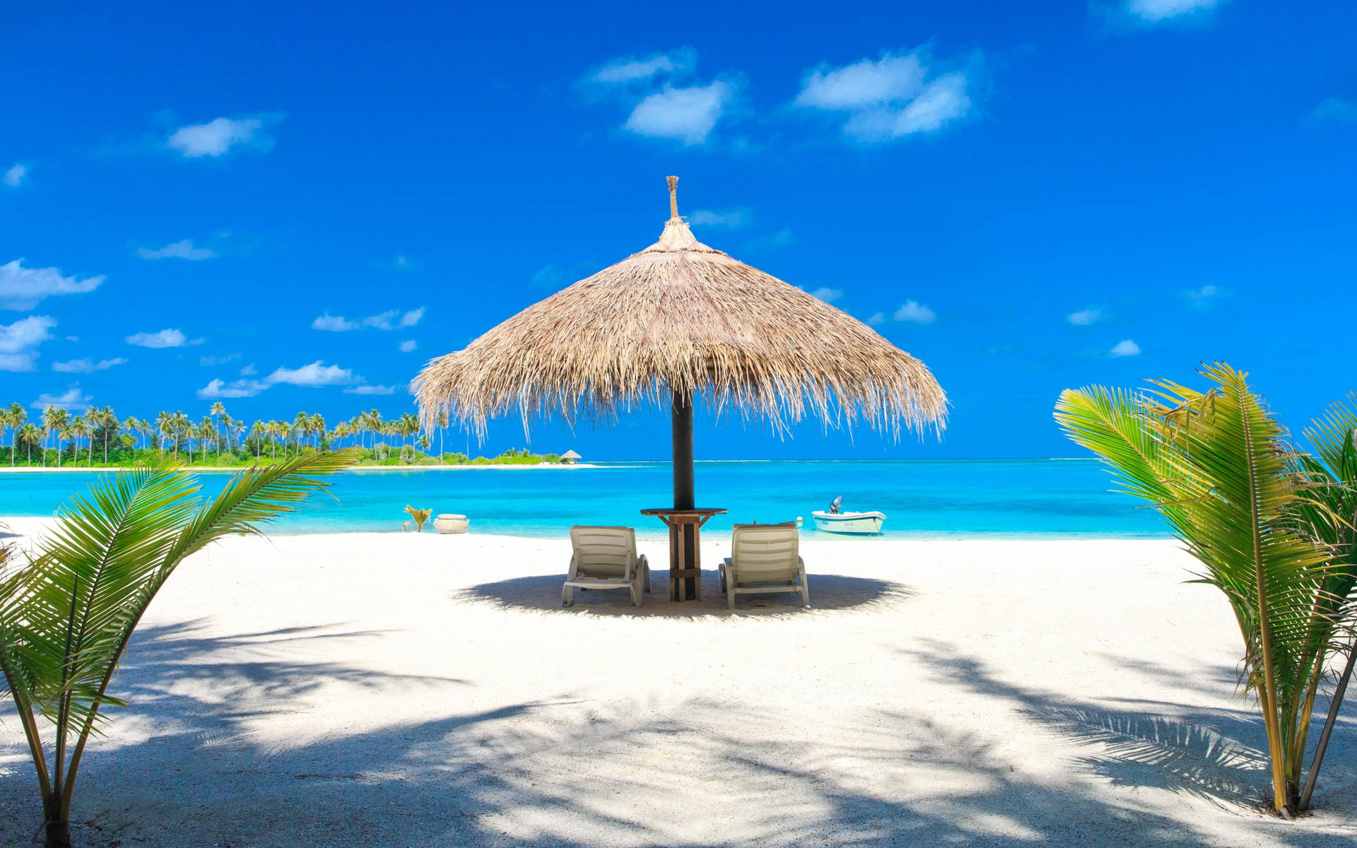 Tropical Desktop Wallpaper