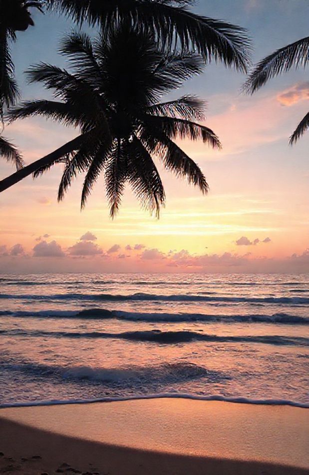 Beach Sunrise Wallpaper