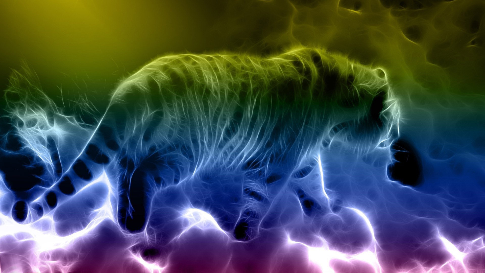 Tiger Hintergrundbilder Neon Bilder Tiere Globetrotspot | My XXX Hot Girl
