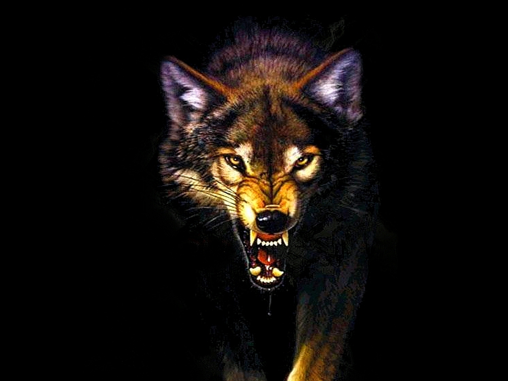 Wolf Wallpaper Desktop HD In Animals Imageci