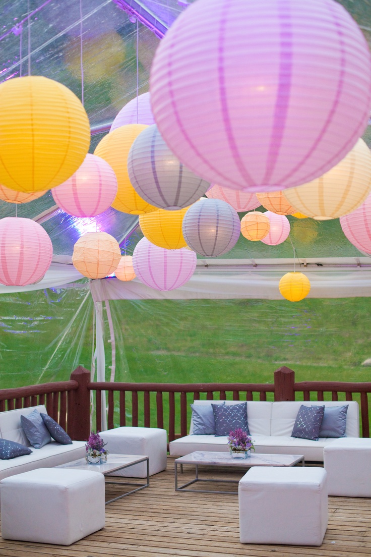 Free download Bar Pizzeria Belltown Seattle West County Explorers Club