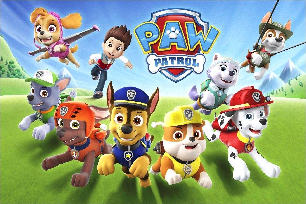 Paw Patrol Wallpaper 4k BirtHDay Show