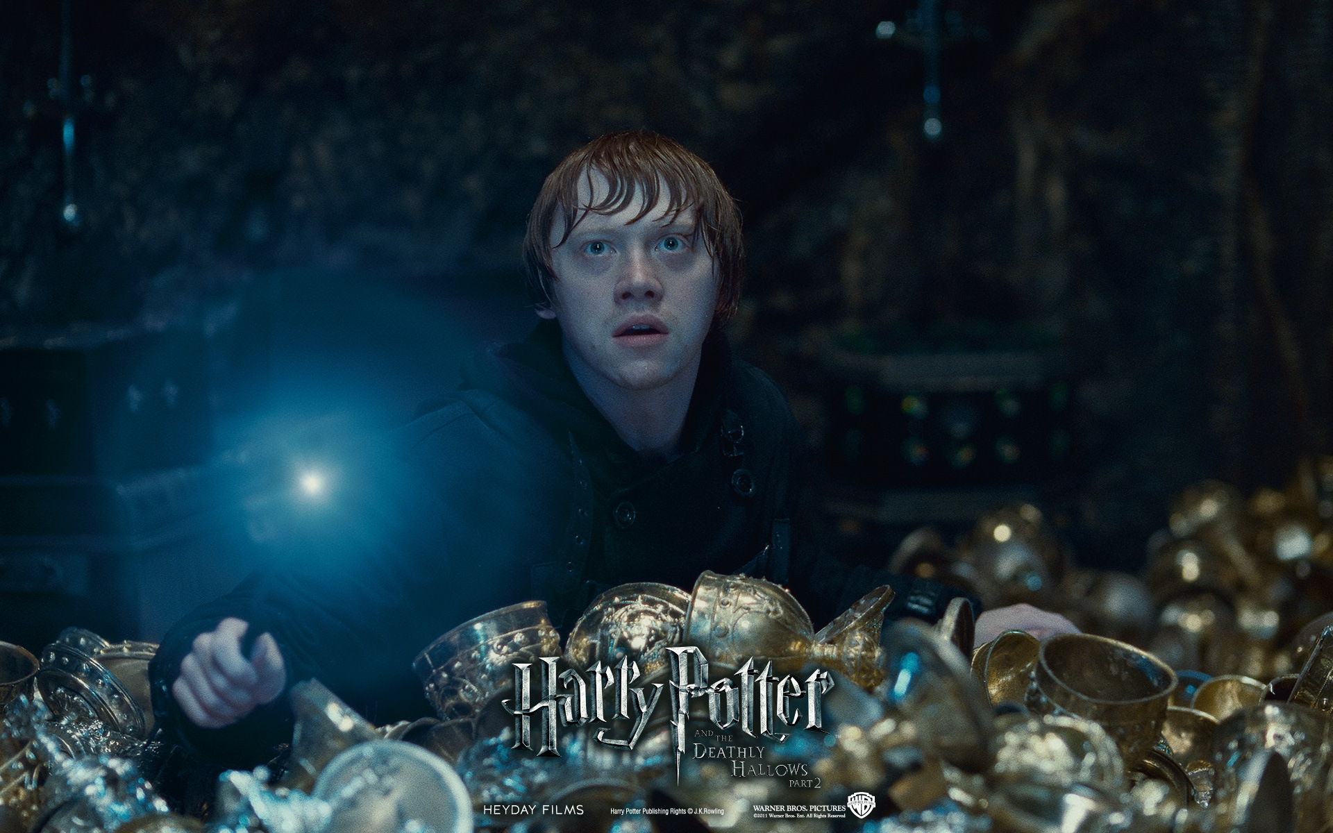 Harry Potter Deathly Hallows Part Ii Dark Brown Hairs