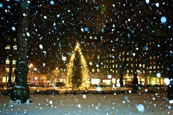 Christmas Snow National Geographic Photo Contest