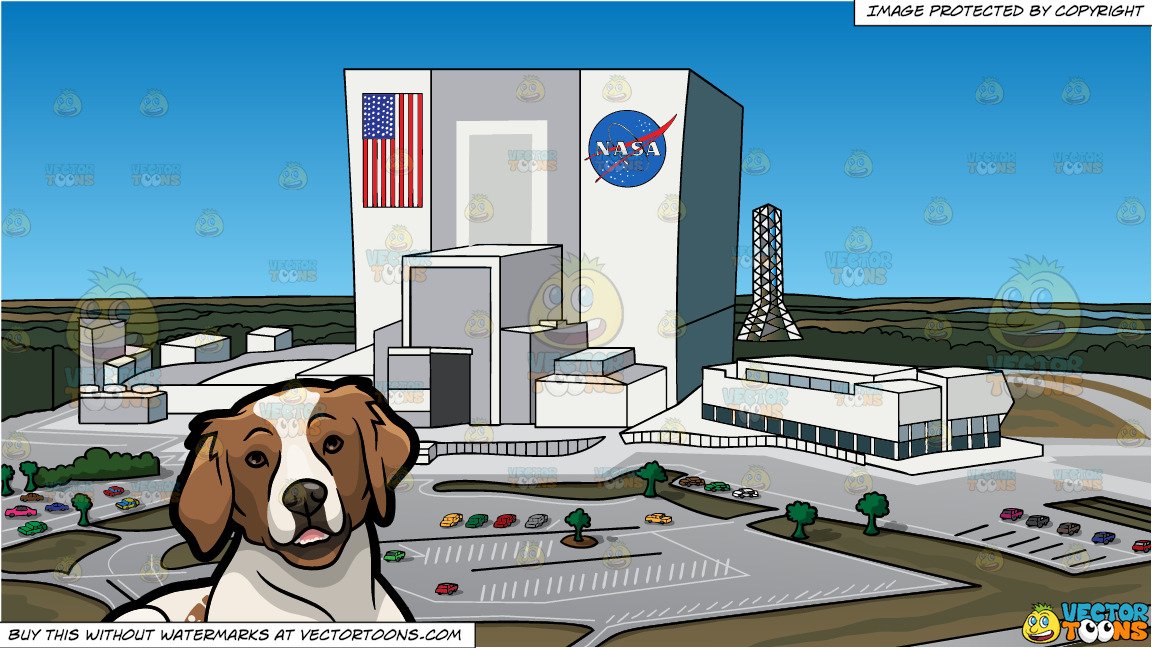 A Cute Brittany Spaniel Pet Dog And Nasa Headquarters Background