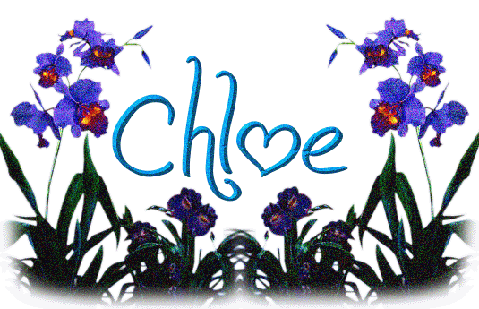 Chloe Naamanimaties en Naamplaatjes Chloe Krabbel Plaatjes