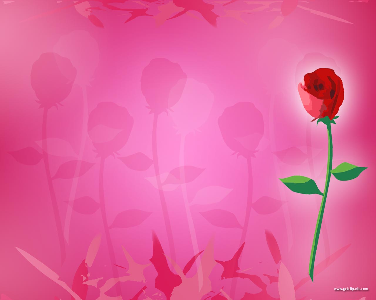 Rose Background Wallpaper